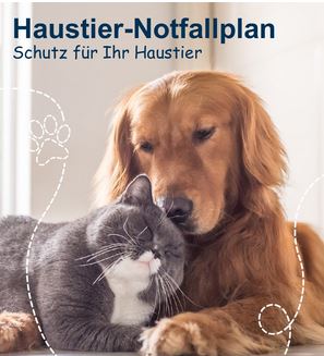 unabhängige Versicherungsberatung ✔️Versicherungsmakler in Berlin✔️ Jetzt informieren!